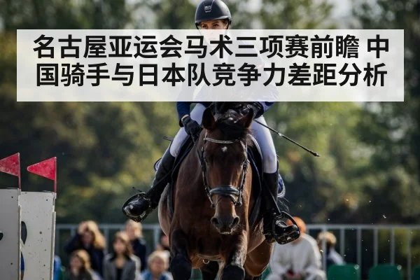 horse show jumping competition